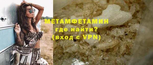 индика Медвежьегорск