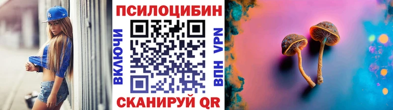 Галлюциногенные грибы Psilocybe Красногорск