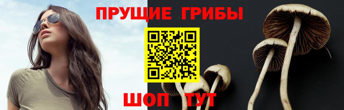 Галлюциногенные грибы прущие грибы  Вход с VPN  Красногорск  Псилоцибиновые грибы MAGIC MUSHROOMS 